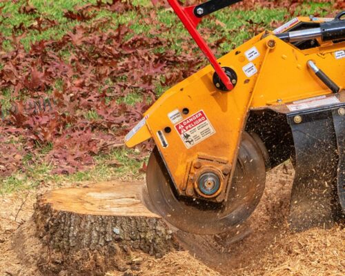 Reclaim Your Landscape: Professional Stump Removal Services by Everything Tree Service