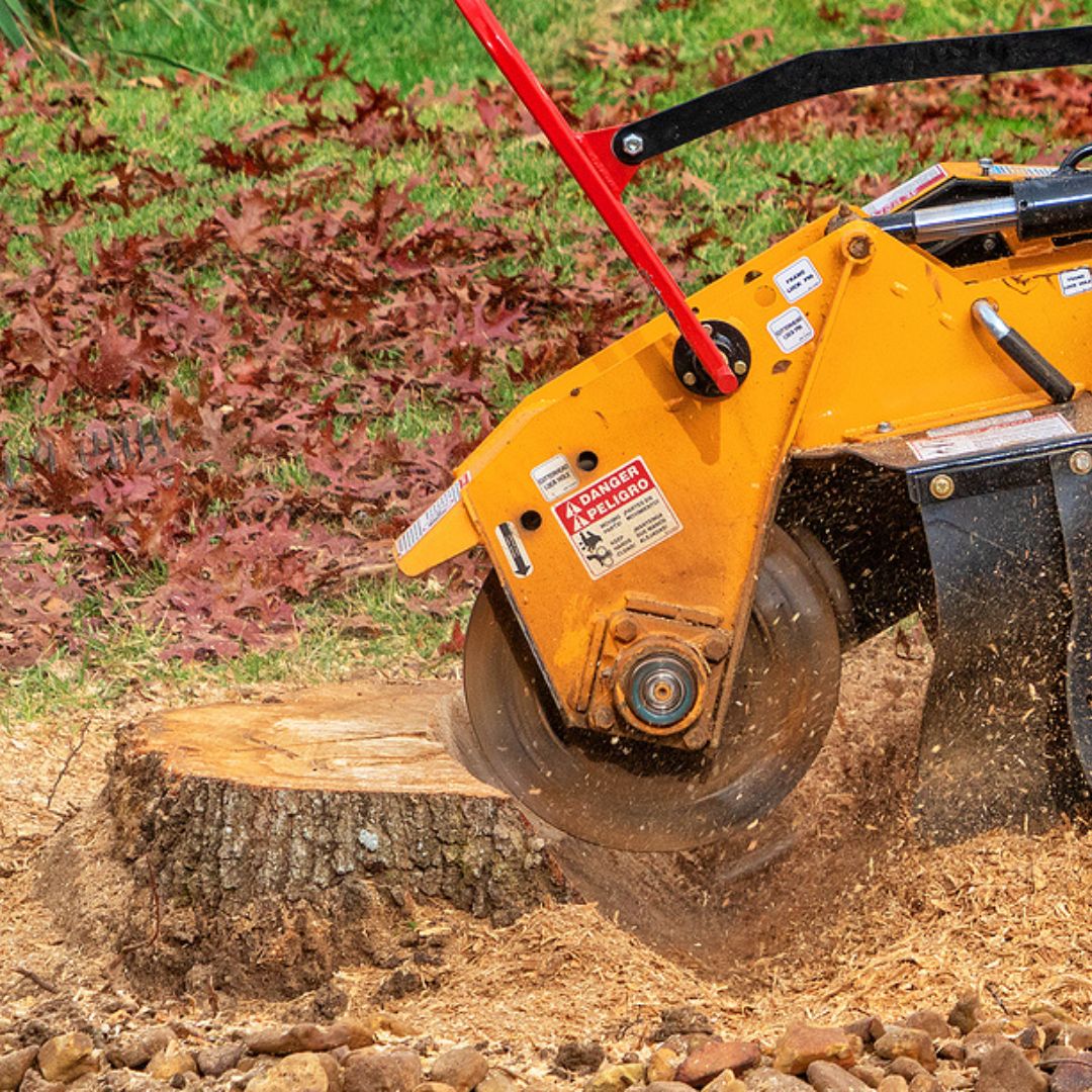 Stump Removal