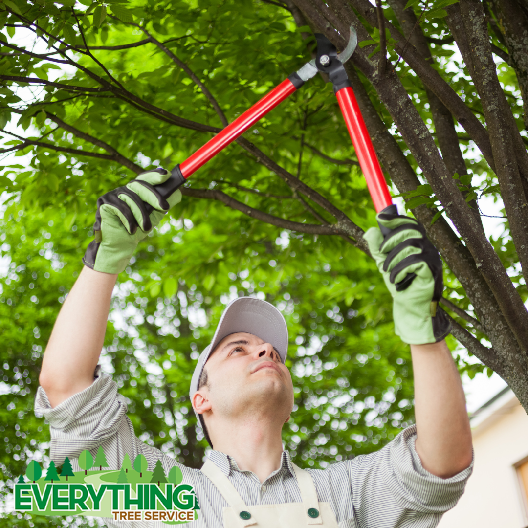 Trimming