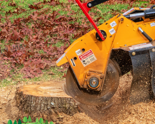 Complete Tree Care and Stump Grinding Services at Everything Tree Service