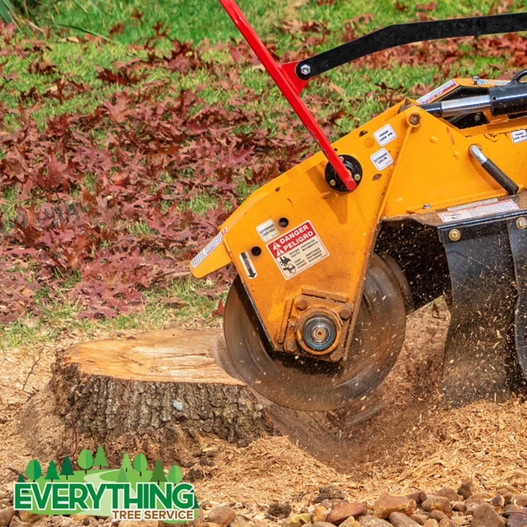 Stump grinding