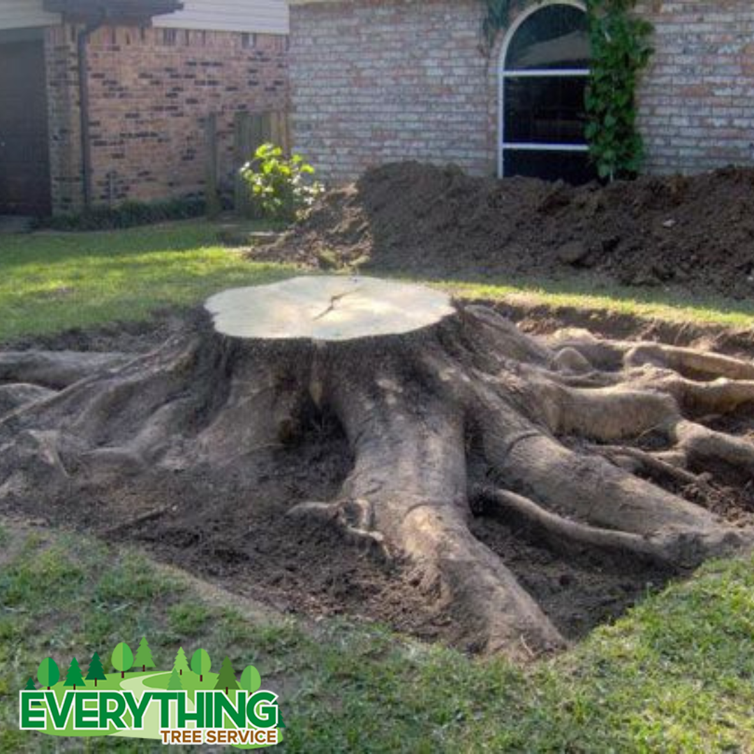 Stump Removal