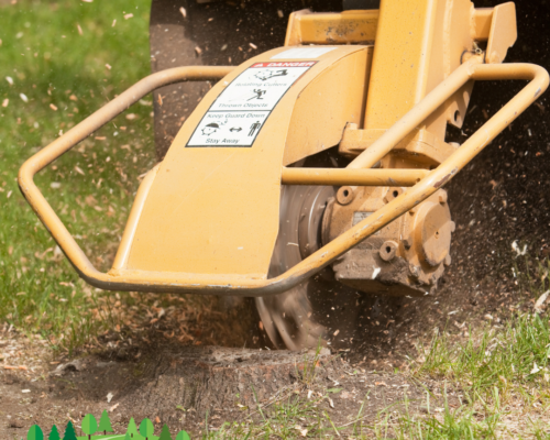 Efficient Stump Grinding Services by Everything Tree Service