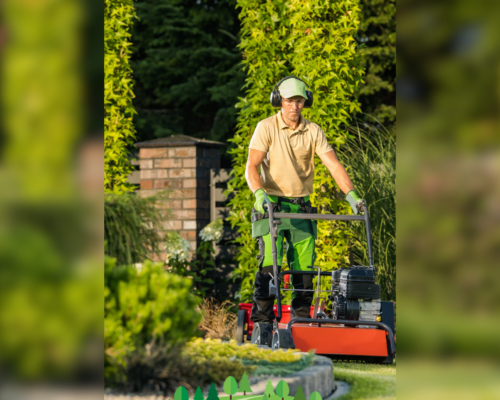 Comprehensive Lawn Care Services by Everything Tree Service