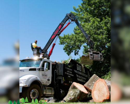 Streamlined Trash Removal Services: Trust Everything Tree Service for a Spotless Environment