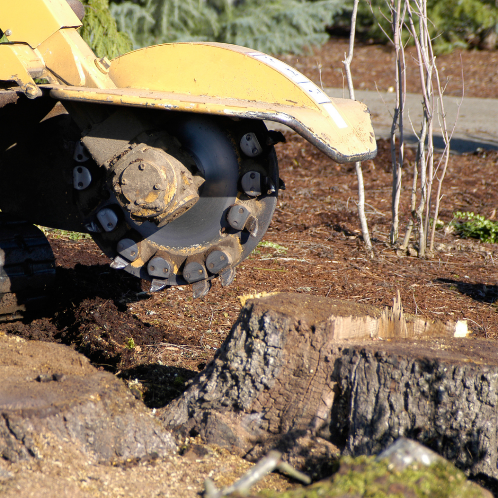 Stump removal