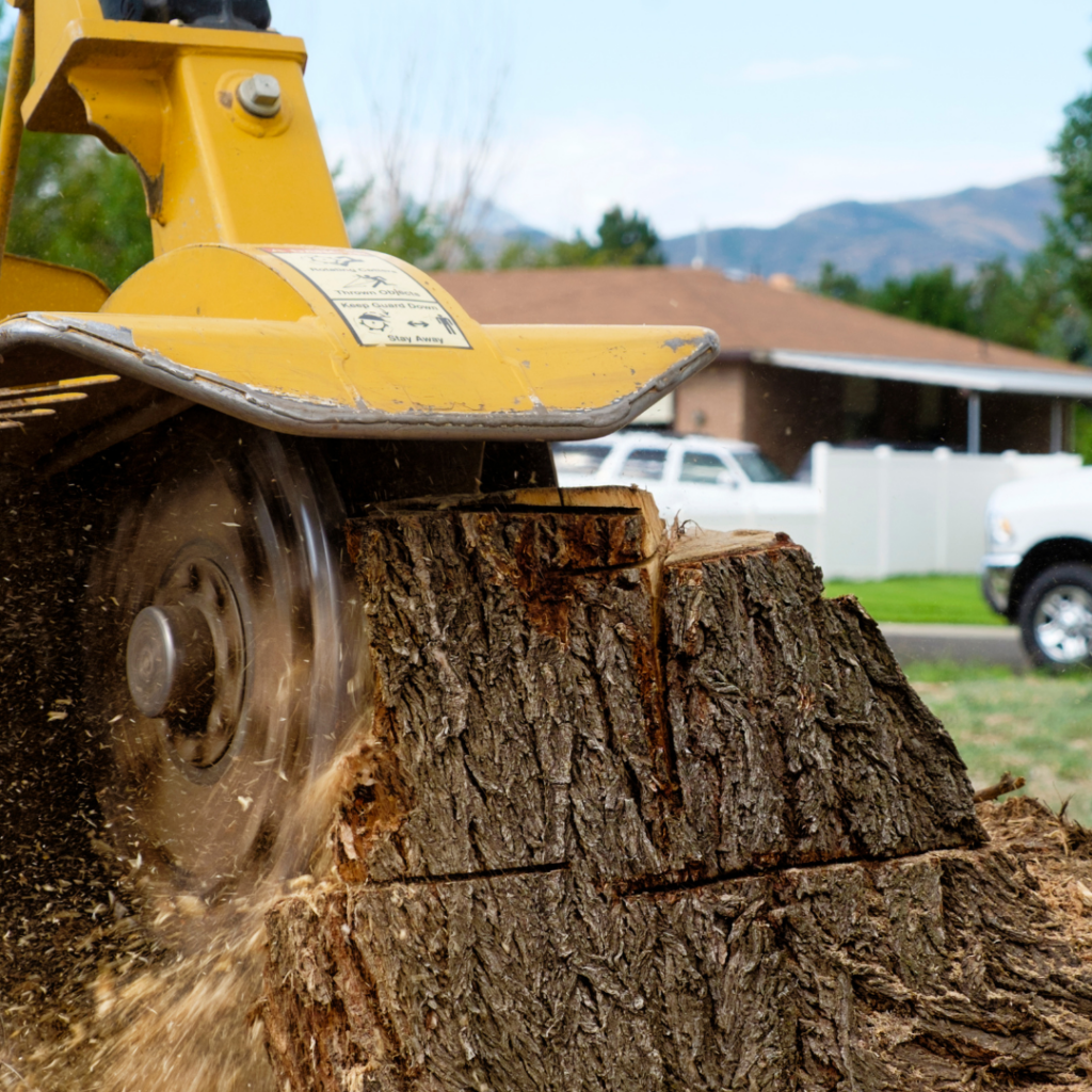 Stump removal