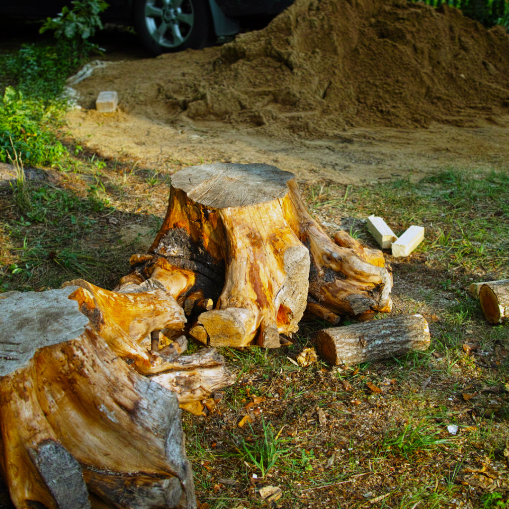 Stump removal