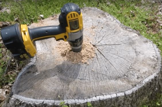 Stump Removal